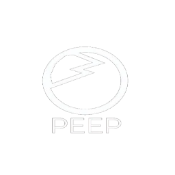 PeepSoft